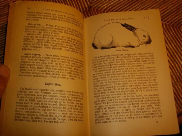 Art d Elever les Lapin s   1942   Elevage  