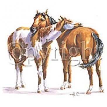 245d Horse Back Rub Paint & Bay Heat Transfer T Shirt Iron On Print 